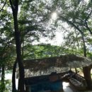 도하저수지 이미지