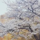 양정태권도장 이미지