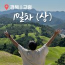 고령 여행 1박 2일 코스 (대가야박물관, 왕릉전시관, 지산동 고분군, 가얏고 마을)