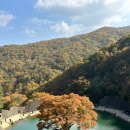 학이 | 지리산 하동 삼성궁 가을 단풍 여행, 도깨비가 지키고 학이 품어주는 신비로운 곳 (배달의 민족)