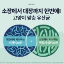 신통헬스케어 | 쾌변은 기본, 입 냄새까지 싹! 닥터바이 캣 프로바이오틱스, 까다로운 고양이도 정착한 유산균 후기