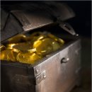 금화애견 이미지