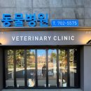아이앤지동물병원 이미지
