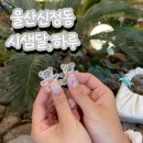 [울산네일샵]시샘달하루//신정동네일샵