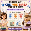 CRE·VRE·MRSA, 왜 격리가 필요할까요? 이미지