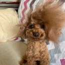 도영1호 이미지