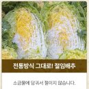 배추몰