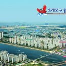 신종합 이미지