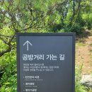 비채팜