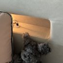 씨엘아트컴퍼니 네이버블로그