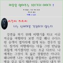 신세대 티스토리
