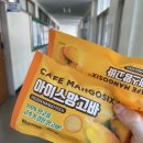 신양자강 | 23년 4월 2주 일상