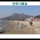 갯벌보러가는길 이미지