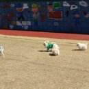 창천초교 이미지