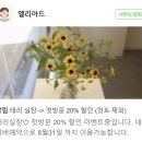 엘리아미용실 - 달서구 | 엘리아미용실