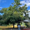 사인암472 이미지