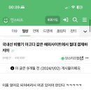 아고다 국내선 뱅기 예약해본 사람들아 이거 ㄹㅇ이야? 제발 알려줘 나 내일 감 이미지