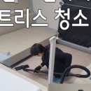 진아리채세탁 이미지