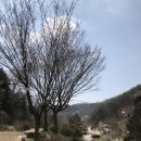 공주무릉농원