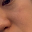 26년 4월