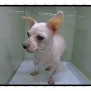 투투 동물병원 이미지