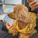 해성동물병원 이미지