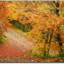 원두막주유소 이미지