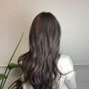 살롱드코라 - 유성구 은구비남로33번길 48 | 살롱드코라