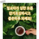 오분명상,엉뚱한 6가지.大韓民國 希望.우주의 신비한~.포토,중국인들은~.근육량 늘리고~.달걀-두부.