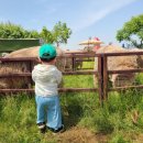 간양농장 이미지