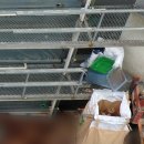 조태형농장 이미지