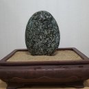 설석 이미지