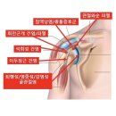 두일한의원 네이버블로그