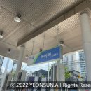 하하하주유소 이미지