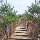 영남 알프스 7봉 고헌산 산행기 – 고등학교 동기들과 함께한 봄날의 특별한 추억