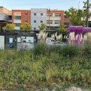 지식의 꽃밭 화장실 이미지