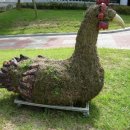 숲생태유치원 이미지