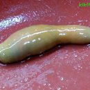 안의상회 이미지