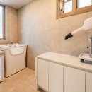 강아지풀 애견 이미지