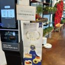 게으른 악어 | 월악산 인근 게으른 악어 내돈내산 방문 후기