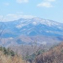 하얀 눈이 내리면 이미지