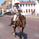 카우보이목장 이미지