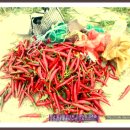 개화주유소 이미지