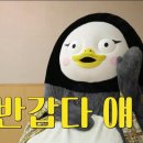 모닝클럽 이미지