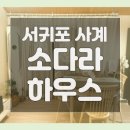 소다라하우스 | 서귀포 사계 소다라하우스 제주 느낌 물씬 서귀포독채펜션 후기