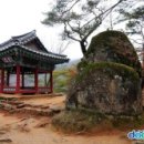 무릉도원면-39 네이버블로그