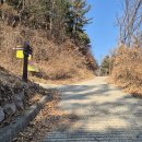 금굴농장 이미지