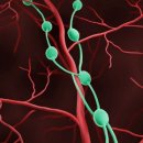 성인한의원 이미지