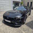 2025 포드 머스탱 정보 완전 정복! 머스탱 5.0 GT 쿠페 핵심 특징은?