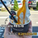 바삭 | 호불호 갈리는 투썸플레이스 핑구 망고 바삭 아이스크림 내돈내산 후기